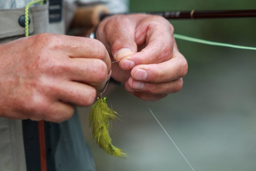 tying on a large fly