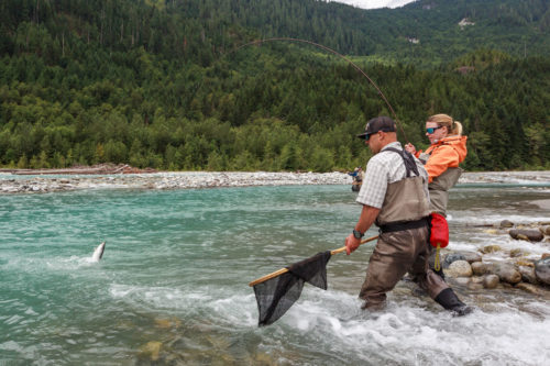 netting a bull trout