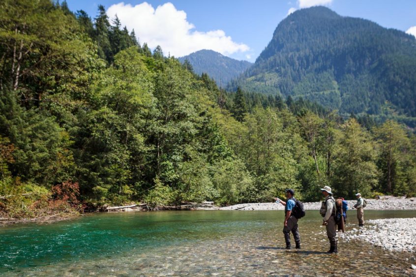 Guided fly fishing trips in Whistler, B.C.