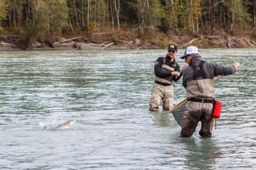 Pink, Chum, and Coho Salmon fishing in British Columbia, Canada