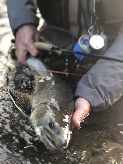 Czech Nymphing for Bull Trout