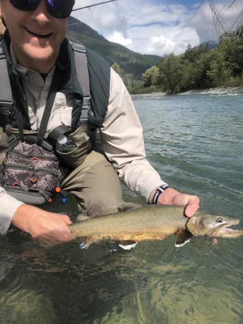Bull Trout in Spawning Colours - Birkenhead River